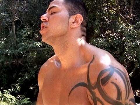 amazon ass splitters pitbull bolatino gay-8