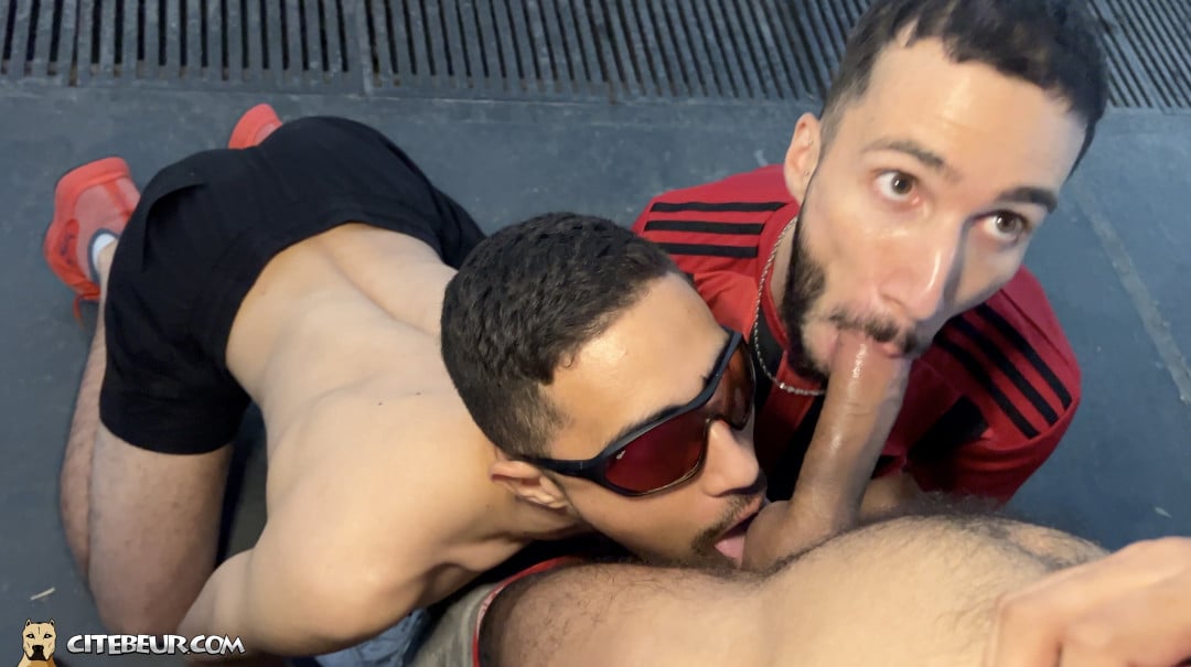 Hung Arab Bull's Massive Tool Gets Double Head - 1