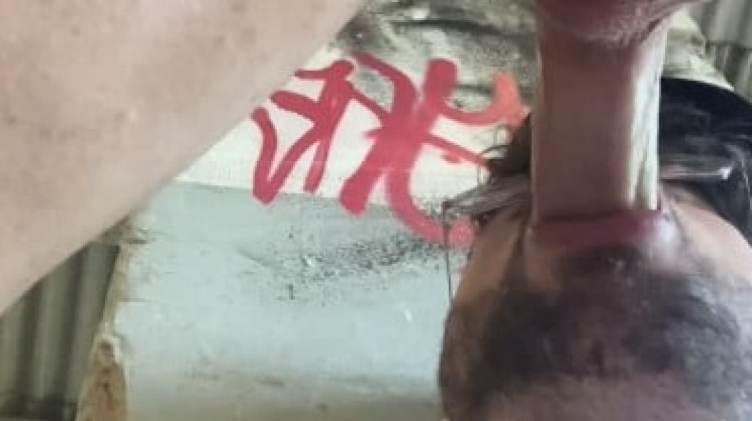 [Zalthy] Fellation en cruising et avalement de lait   Image 005