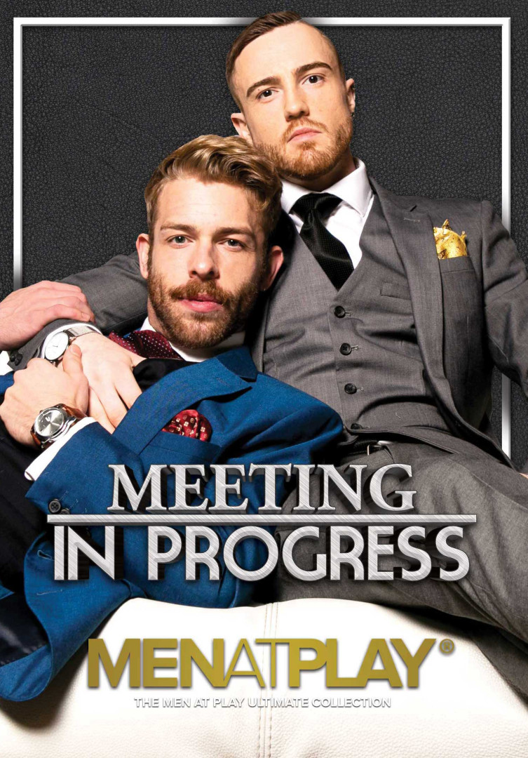 map010 meeting in progress cover art web cropped copie
