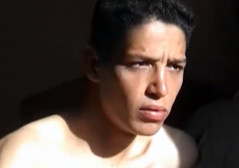 tarek