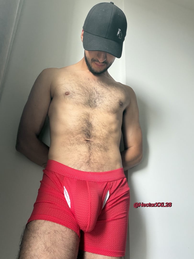 HectorXXL28