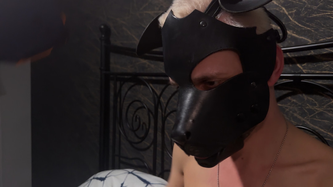 projectystudios   Morning wood   Img17