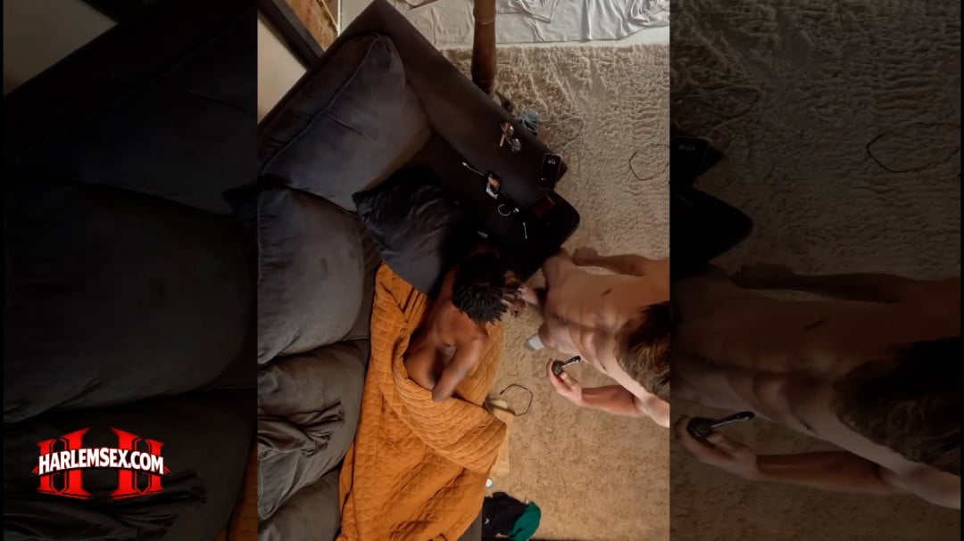 harlem sex 6
