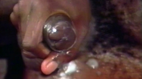 L21053 OLDGAYMOVIES gay sex porn hardcore fuck videos retro vintage precondom bdsm hard fetish rough leather bondage rubber piss ff puppy slave master playroom butch scruff hairy men hunks 18