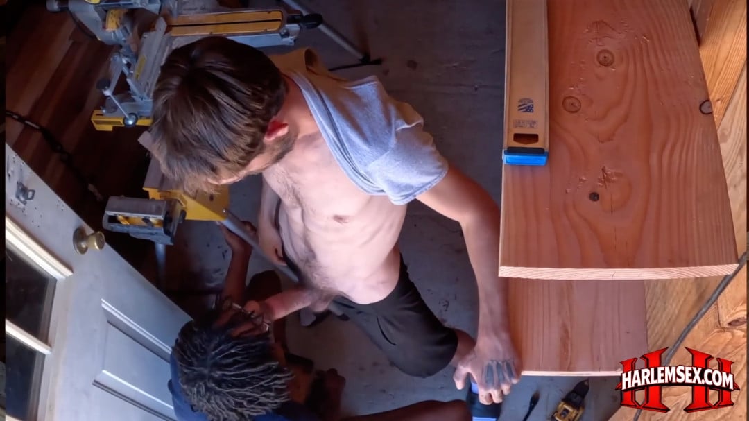 harlem sex preview 7