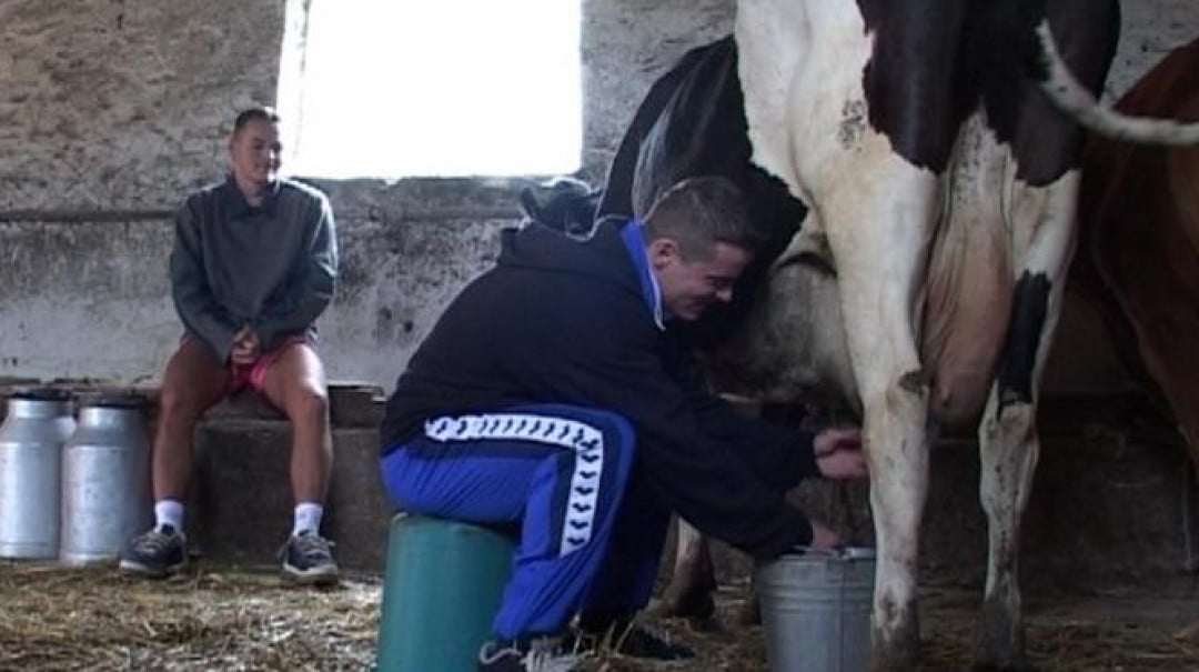 Extraction du lait