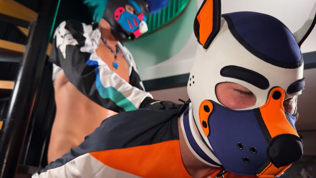 projectystudios   Good boy is waiting   Img5