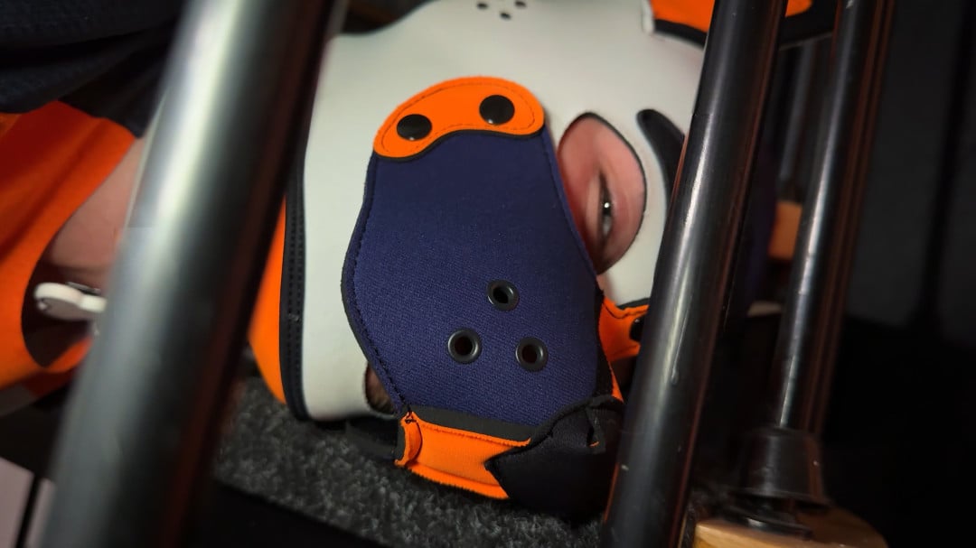 projectystudios   Good boy is waiting   Img2