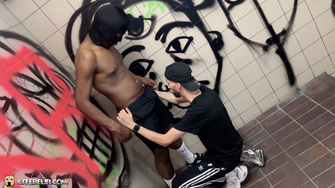 gay arabe suce un black