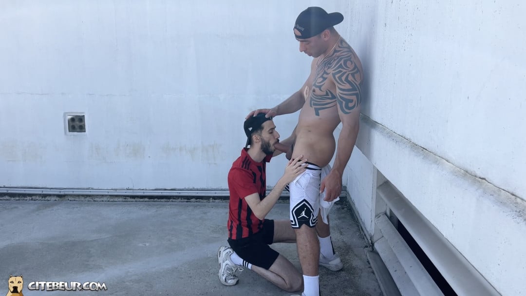 lascars gay se tapent un plan suce