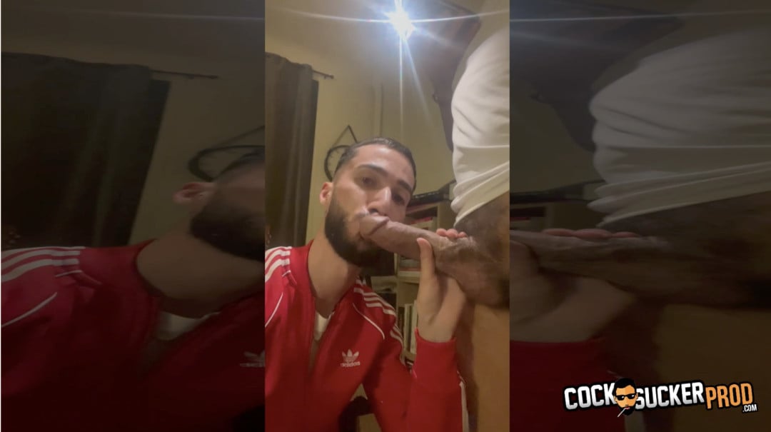 Schluck meinen großen arabischen Schwanz