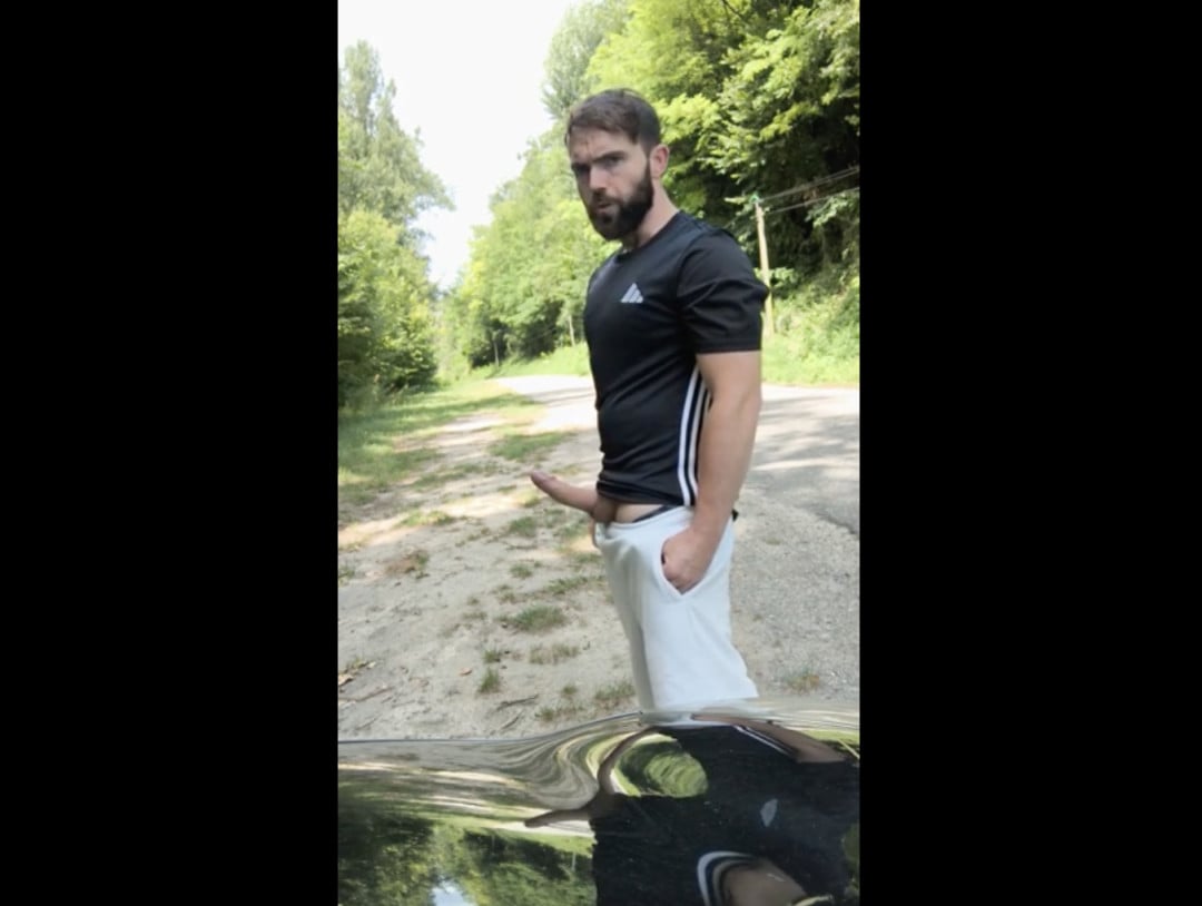 BRANLE Solo voiture   image 5