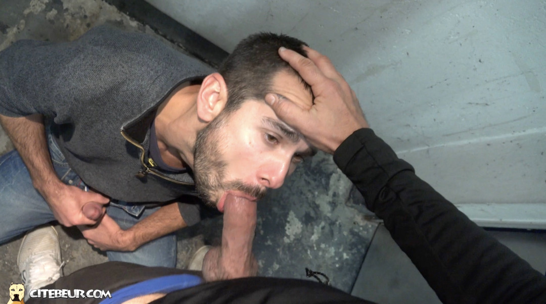 Perfect submissive gay french cocksucker
