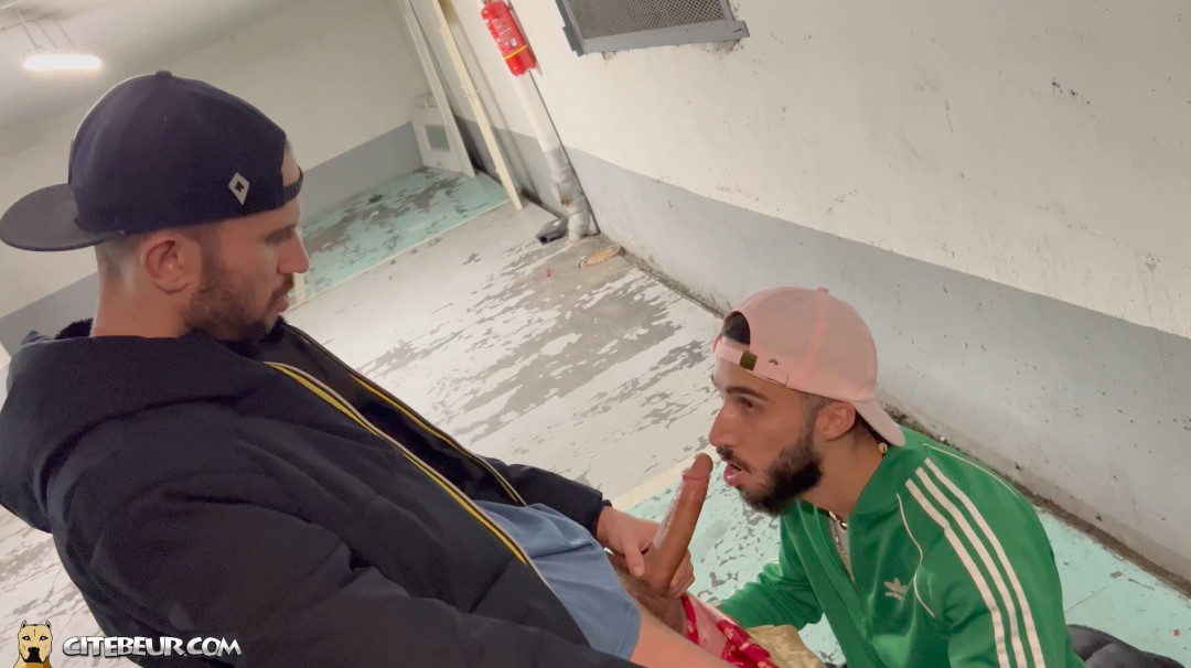 Rafael et Cockscuker lascars gay parking   12