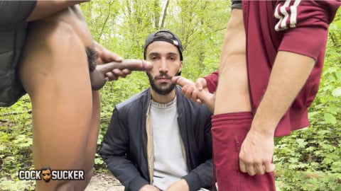 Capture d’écran 2026 03 10 à 15 19 53