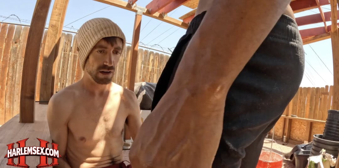 Capture d’écran 2026 04 22 à 16 54 01