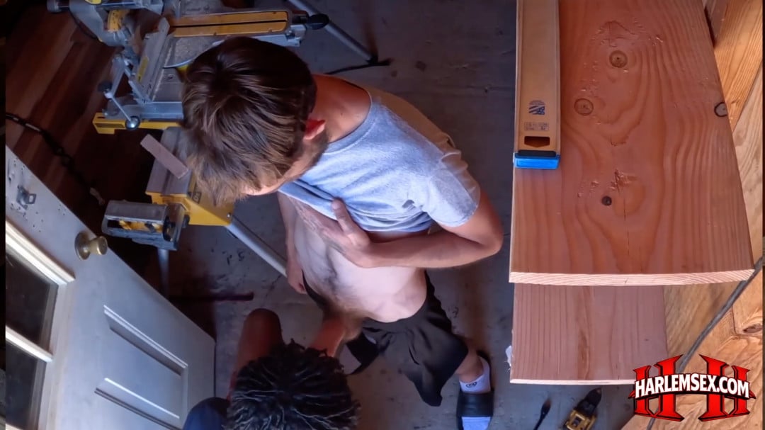 harlem sex preview 3