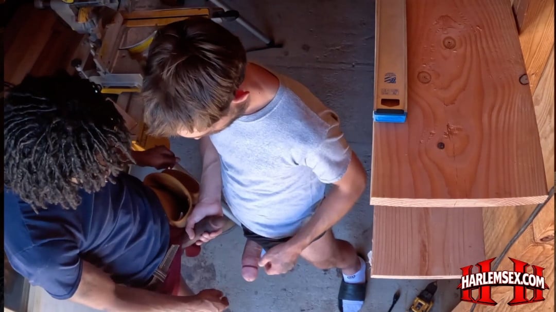 harlem sex preview 1