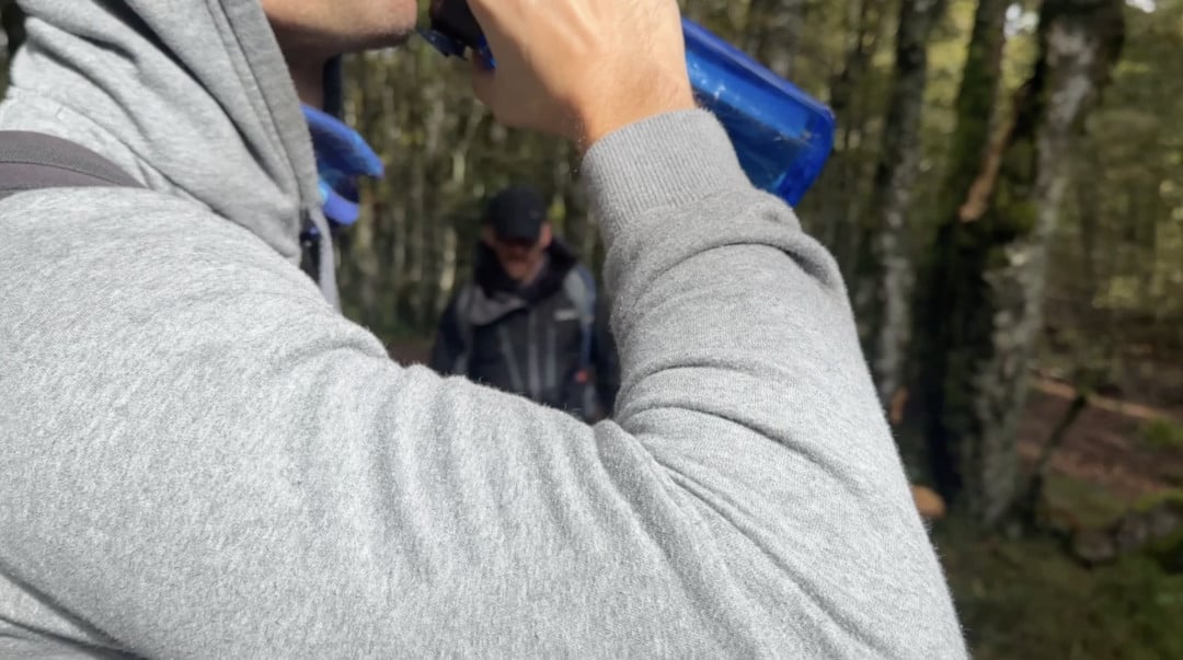 LOST IN THE FOREST