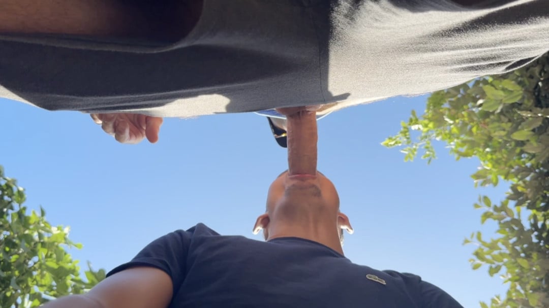 Capture d’écran 2025 11 09 à 14 57 00