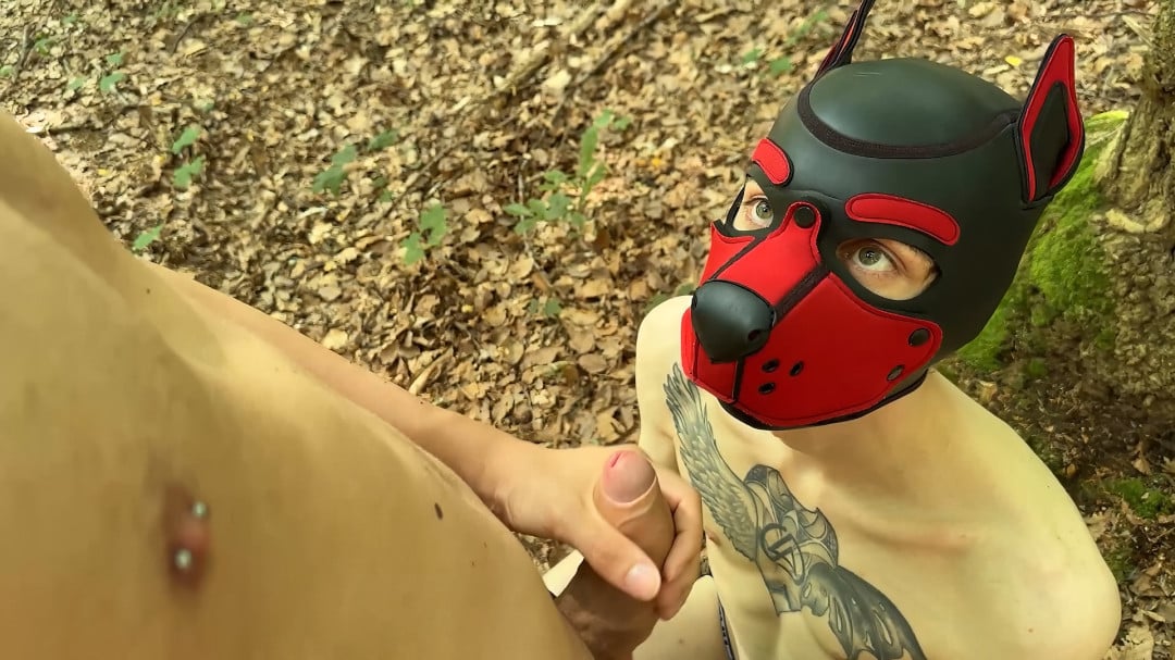 projectystudios   Cuckold in the woods   img8