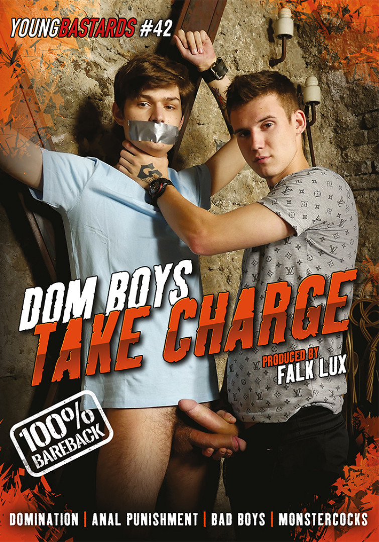 yb42 DOM BOYS TAKE CHARGE dvd box 1500x1011