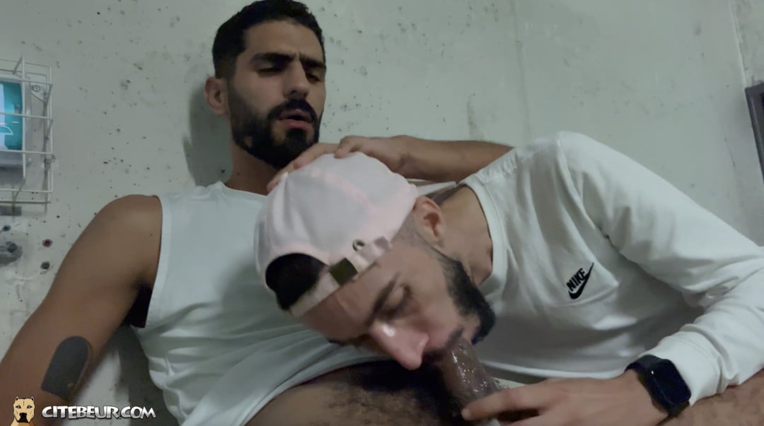 un mec viril arabe gay de cite se fait sucer par un pote rebeu