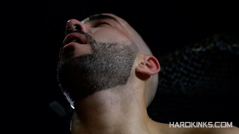 Rafa Marco, spanischer schwuler Pornostar, bester männlicher Alpha-Mann
